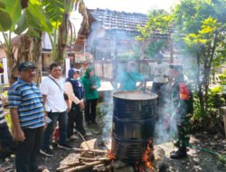 Dari Pekarangan Sederhana, Inovasi “Bubur California” Tumbuhkan Harapan Petani Buduran