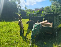 Babinsa Koramil 0801/04 Tegalombo Bangun Sarana Garjas B di Ponpes Al-Fattah Tegalombo