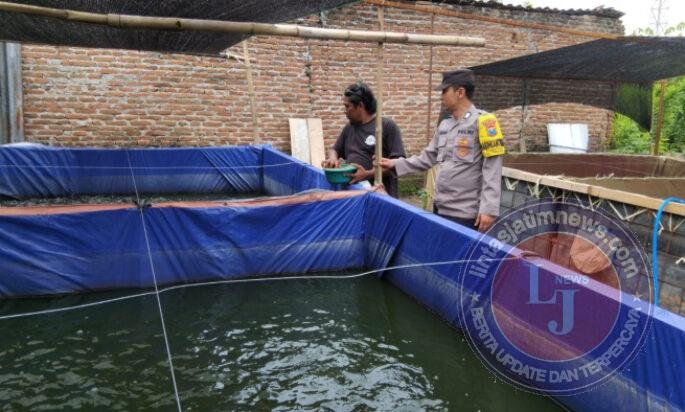 Polres Ngawi Gelorakan Swasembada Pangan, Dampingi Warga Budidaya Ikan Lele