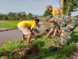 Anggota Kodim Ponorogo Bersama Masyarakat Kerja Bakti Bersihkan Rumput