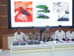 Buronan Interpol Red Notice Kasus Penipuan Online Internasional Berhasil Ditangkap