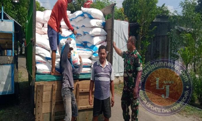 Kawal Pupuk Subsidi Tepat Sasaran, Babinsa Wonoasri Turun Langsung ke Kelompok Tani