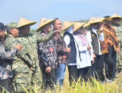 Dampingi Gubernur Panen Raya,Dandim Madiun Dorong Optimisme Petani Balerejo