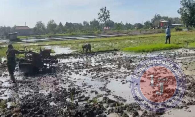 Bantu Petani Olah Sawah, Dedikasi Babinsa Kodim Ponorogo Perkuat Ketahanan Pangan Desa