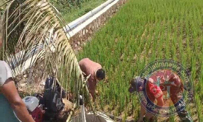 Pastikan Produktivitas Pertanian Terjaga, Babinsa Koramil 0801/03 Arjosari Lakukan Pendampingan Irigasi