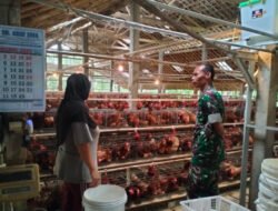 Dukung UMKM Warga, Babinsa Purwantoro Sambangi Peternak Ayam Petelur