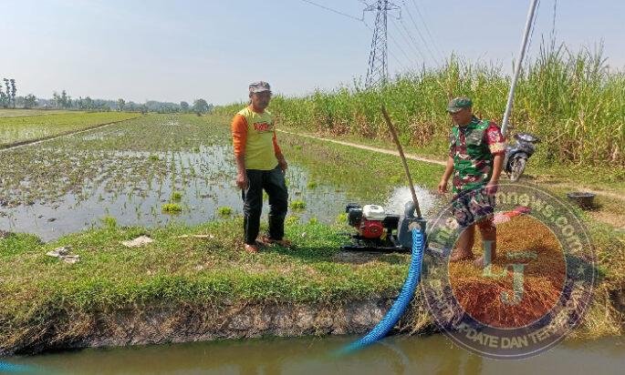 Menjaga Padi Tetap Hijau, Babinsa Tiron Bantu Petani Alirkan Air ke Sawah