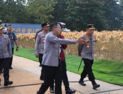 Polri Bersama Petani Jagung Tuban Bersiap Sambut Kehadiran Presiden RI pada Panen Raya