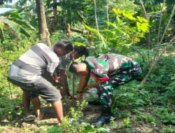 Hari ini Koramil 03 Serengan & Warga RT 01/09 Serengan Panen Raya Pisang dan Singkong