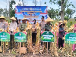 Giat Panen Raya Jagung Serentak dalam Menunjang Swasembada Pangan Tahun 2026