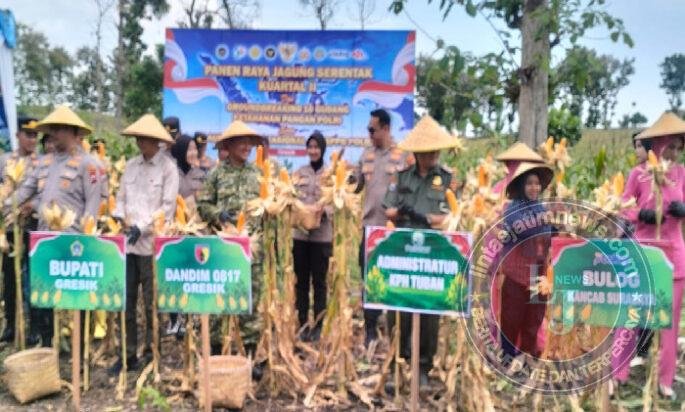 Giat Panen Raya Jagung Serentak dalam Menunjang Swasembada Pangan Tahun 2026