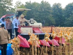 Presiden Prabowo dan Kapolri Panen Raya Jagung Nasional di Tuban