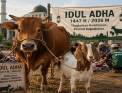 Idul Adha 2026 Serentak : Arab Saudi, Pemerintah RI, dan Muhammadiyah Tetapkan Rabu 27 Mei