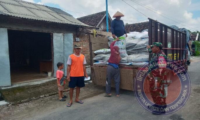 Hadir di Tengah Petani, Babinsa Golan Kawal Distribusi Pupuk Bersubsidi