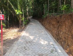 Pavingisasi Jalan Sepanjang 452 Meter Tuntas