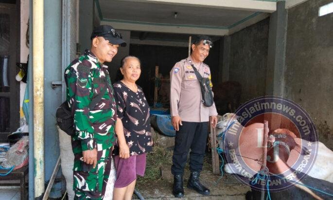 Jelang Hari Raya Idul Adha 1447 Hijriah, Babinsa Pajang Bersama Bhabinkamtibmas Lakukan Pengecekan Hewan Qurban