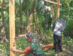 Semangat Gotong Royong, Babinsa Juwangi Bantu Warga Bangun Pondok Kebun