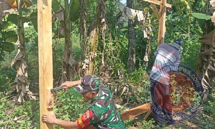 Semangat Gotong Royong, Babinsa Juwangi Bantu Warga Bangun Pondok Kebun