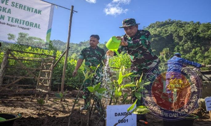 Kodim Pacitan Hijaukan Pesisir Watu Mejo Dengan Penanaman 1.770 Bibit Mangrove