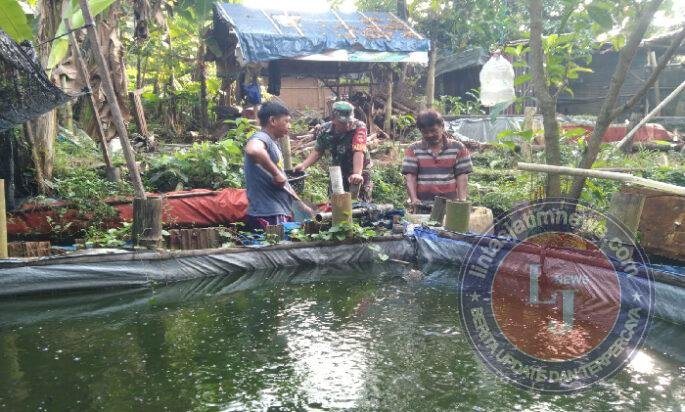 Babinsa Nogosari Dampingi Budidaya Lele Warga, Dorong Ketahanan Pangan dan Ekonomi Desa