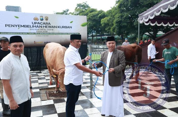 Iduladha 1447 H Polda Jatim Salurkan Ratusan Hewan Kurban untuk Masyarakat