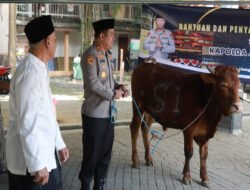 Kapolres Jombang Serahkan Sapi Kurban dari Kapolda Jatim untuk Dua Ponpes