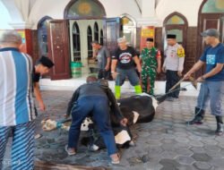 Peran Aktif Babinsa Monitoring Proses Penyembelihan Hewan Qurban Pada Hari Raya Idul Adha 1447 H di Kelurahan Kepatihan Wetan