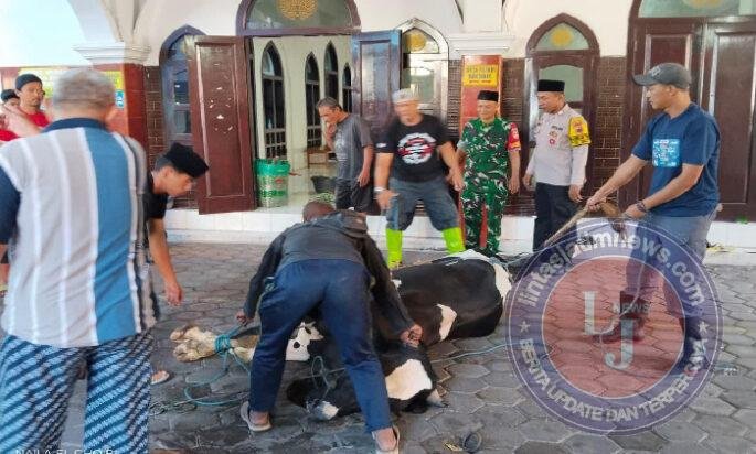 Peran Aktif Babinsa Monitoring Proses Penyembelihan Hewan Qurban Pada Hari Raya Idul Adha 1447 H di Kelurahan Kepatihan Wetan