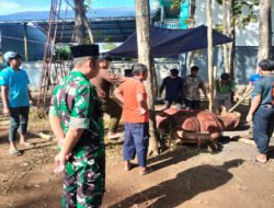 Sapi Kurban Presiden RI Seberat 970 Kg Disembelih di Ponpes Citra Suhada Jatisrono, Warga Antusias Hadiri Kegiatan