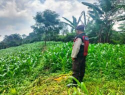 Bhabinkamtibmas Polsek Sukorejo Dampingi Petani Optimalkan Lahan Produktif