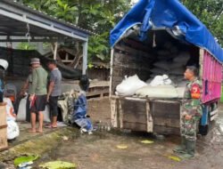 Bentuk Kemanunggalan TNI Dengan Rakyat, Serda Eden Bantu Angkut Padi Hasil Panen