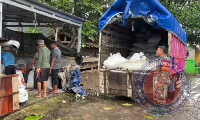 Bentuk Kemanunggalan TNI Dengan Rakyat, Serda Eden Bantu Angkut Padi Hasil Panen
