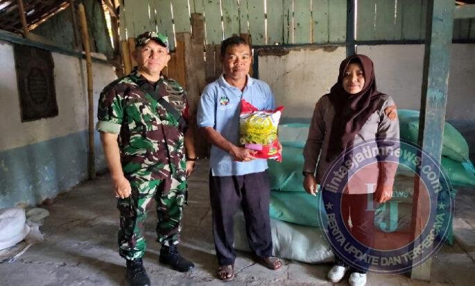 Kawal Distribusi Benih Padi, Babinsa Klitik Perkuat Ketahanan Pangan Desa