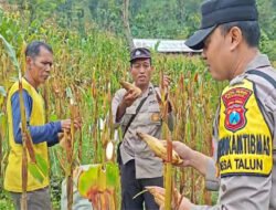 Polres Ponorogo Sahabat Petani, Dampingi Warga Wujudkan Swasembada Pangan