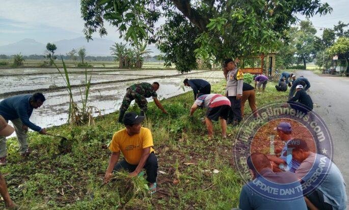 Babinsa dan Warga Purwosari Gotong Royong Wujudkan Lingkungan Bersih dan Sehat