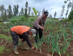 Polisi Turun ke Kebun Bawang Prei, Dorong Warga Aktif Bertanam untuk Ketahanan Pangan
