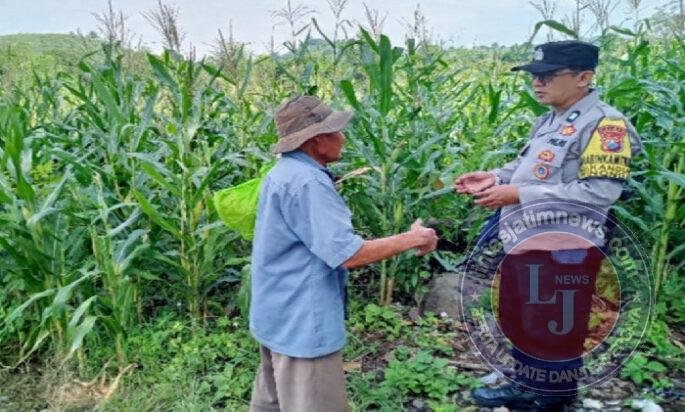 Pantau Lahan Jagung Petani, Polres Pasuruan Kawal Sukses Swasembada Pangan