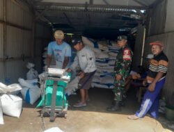 Pastikan Tepat Sasaran, Babinsa Kawal Distribusi Pupuk Bersubsidi untuk Petani Desa Bulu