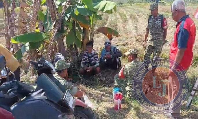 Cerita dari Pematang Sawah : Babinsa Hadir, Petani Padi Semakin Optimis