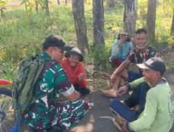 Babinsa Komsos dengan Petani, Pastikan Musim Tanam Ketiga Tetap Aman di Tengah Kemarau