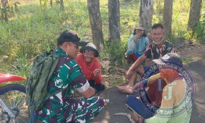 Babinsa Komsos dengan Petani, Pastikan Musim Tanam Ketiga Tetap Aman di Tengah Kemarau