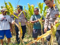 Polresta Sidoarjo Gelorakan Swasembada Pangan Melalui Program P2B