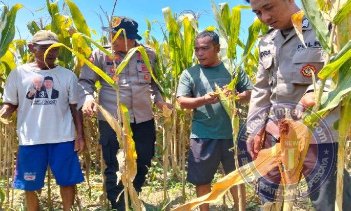Polresta Sidoarjo Gelorakan Swasembada Pangan Melalui Program P2B