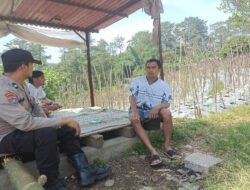 Bhabinkamtibmas Desa Gendro Tinjau Tanaman Cabai dalam Program Pekarangan Pangan Bergizi