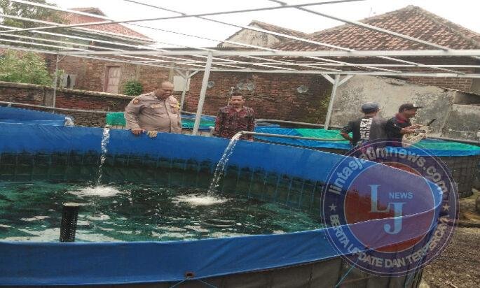 Babinkamtibmas Polsek Bangil Dampingi Warga Tambakan Kembangkan Budidaya Lele di Pekarangan