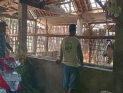Dekat dengan Peternak, Babinsa Selo Gencarkan Edukasi Cegah PMK dan BEF pada Ternak Sapi