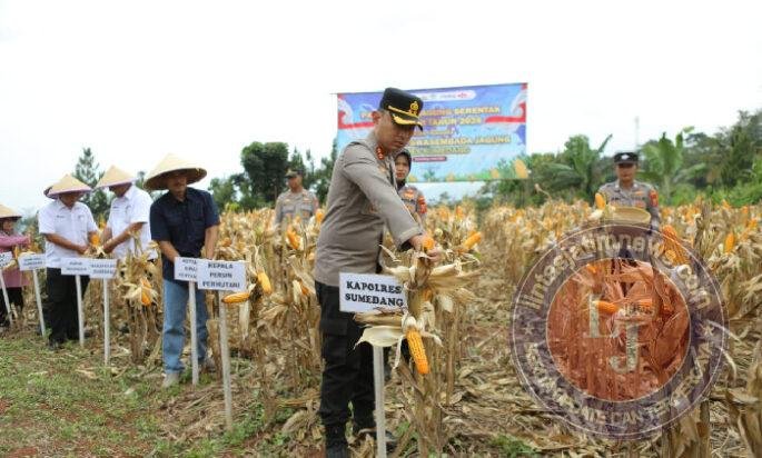 Polres Sumedang Intensifkan Pemeliharaan Tanaman Jagung untuk Dukung Ketahanan Pangan Nasional