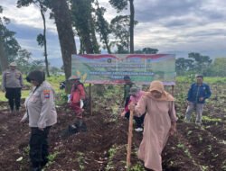 Polri Turun ke Lahan, Dampingi Petani Tanam Jagung Kuartal IV Dukung Swasembada Pangan di Pasuruan