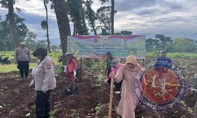 Polri Turun ke Lahan, Dampingi Petani Tanam Jagung Kuartal IV Dukung Swasembada Pangan di Pasuruan