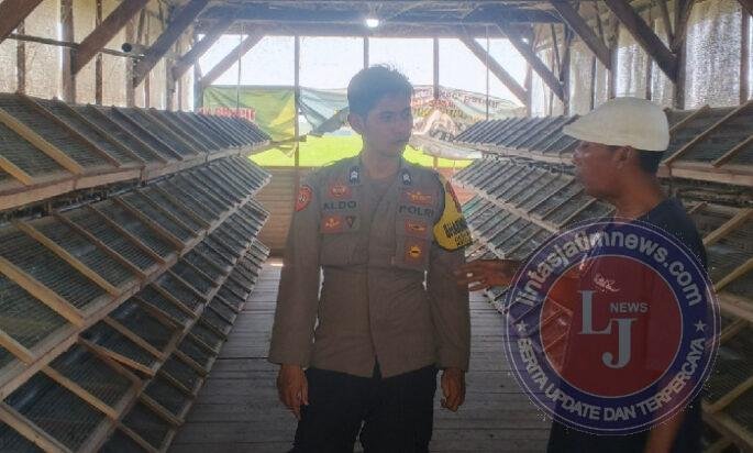 Bhabinkamtibmas Masangan Monitoring Peternakan Puyuh Produktif Milik Bumdes